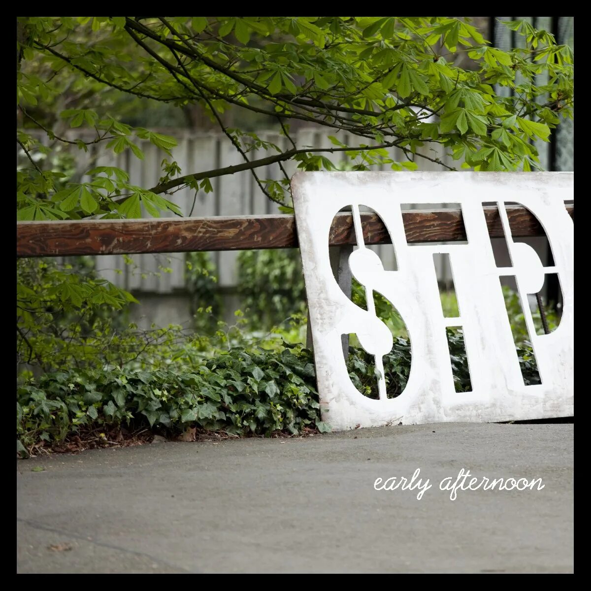 STP - early afternoon. Early afternoon