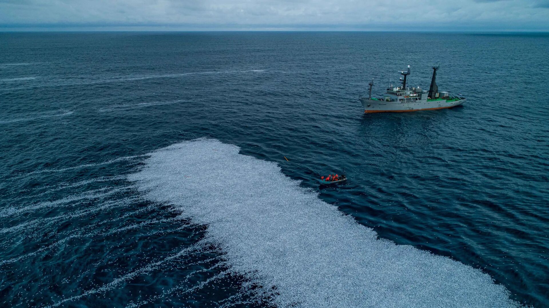 Маргирис траулер. Sea Shepherd суда. Маргирис судно. Рыба траулер