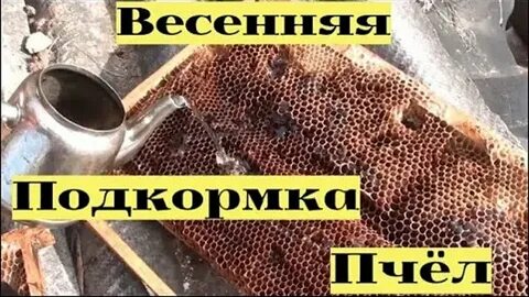 Сыта для пчел