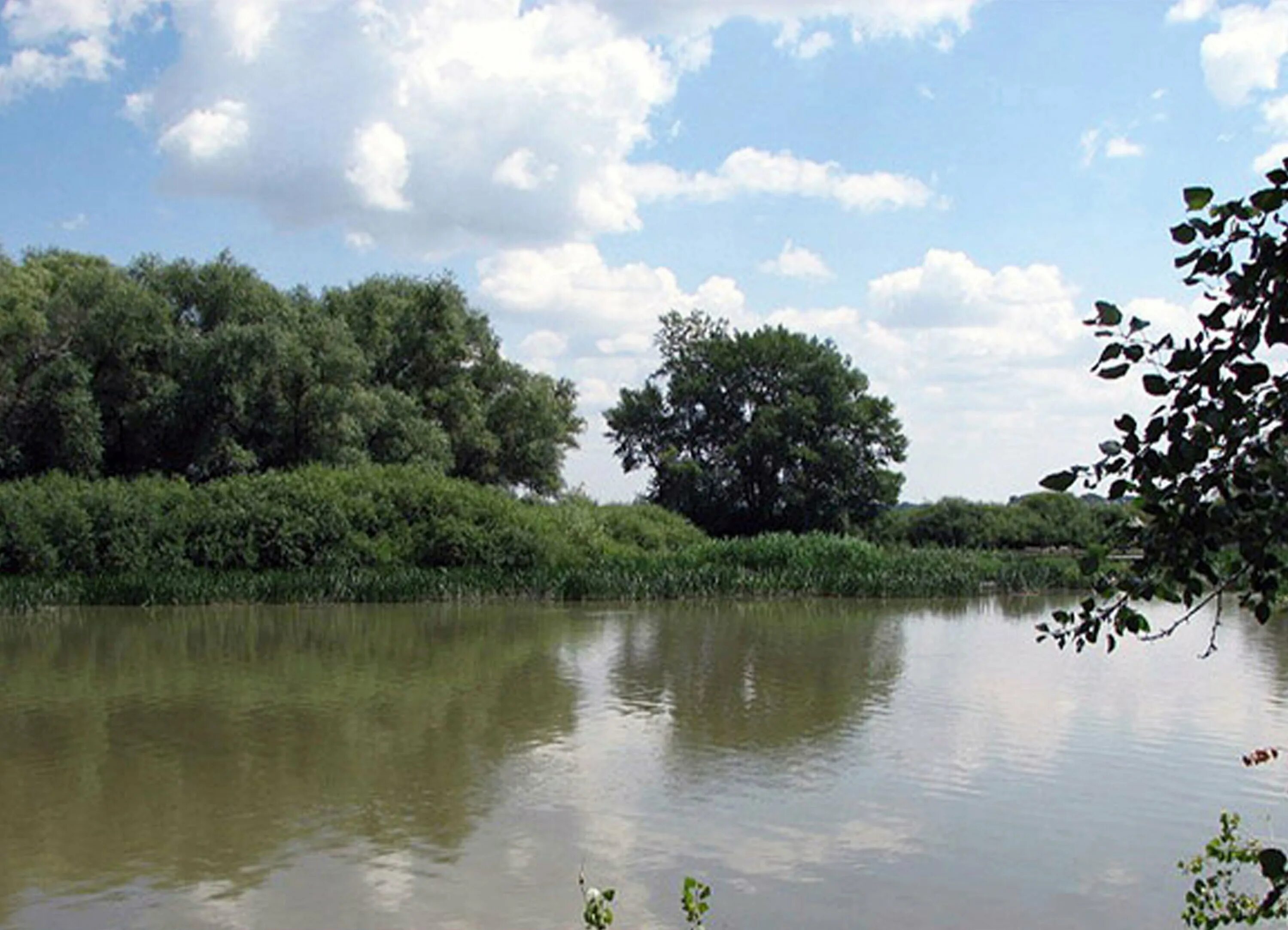 Река в уральске. Река чаган в уральске. Жайык река. Река урал в казахстане. Урал в уральске.