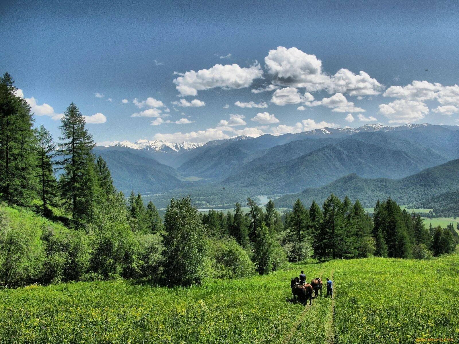 Природа Барнаула и Алтайского края. "Altai". Алтайский край. Солонешенский район. Пейзажи Алтайского края.