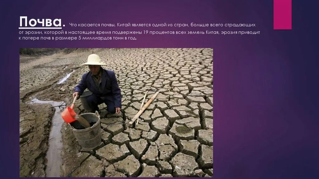 В китае в xvi веке земли делились на государственные и. К землям в китае относились. К землям в китае относились. Опустынивание в китае. Древний китай цивилизация древнего китая.