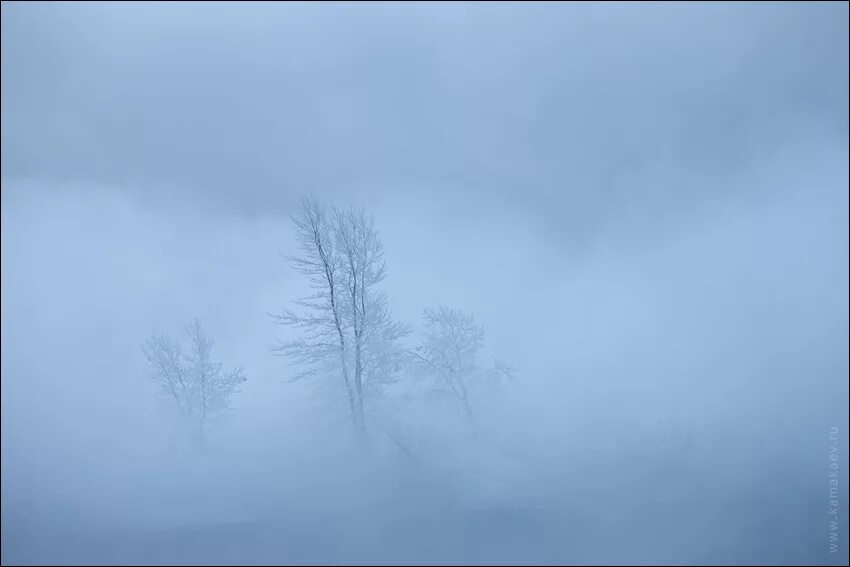 Мираж картинки природное явление. Пленка фотографий Мираж. Боковой Мираж фото природное явление. Картина Мираж Автор. Автор мираж