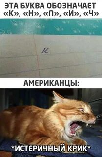 Вчера принесли