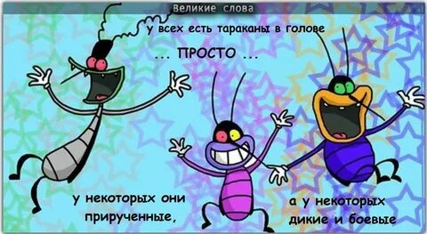 День насекомых