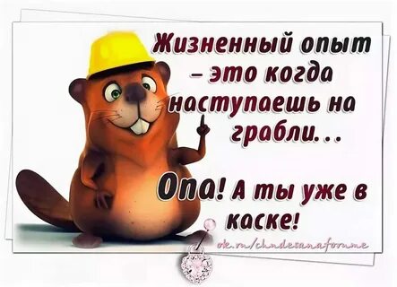 Хорош тот опыт
