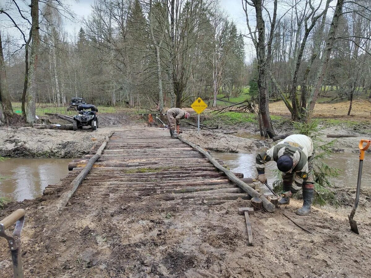 Засеки минута 30. Марш парков в заповеднике Калужские Засеки. Заповедный источник. Мост в лесу Калуга. Восстановление моста.