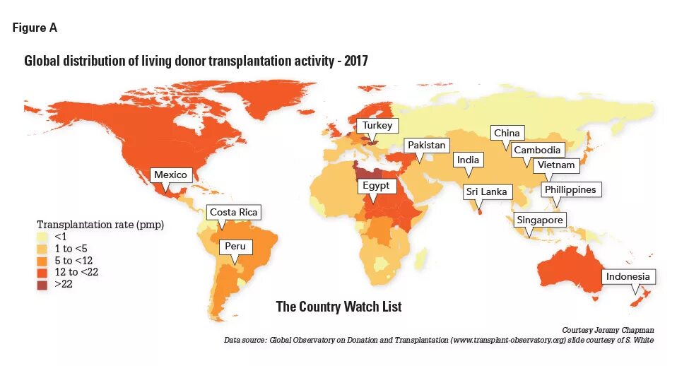 Global Human trafficking. Торговля людьми карта. Human trafficking statistics. Among the countries