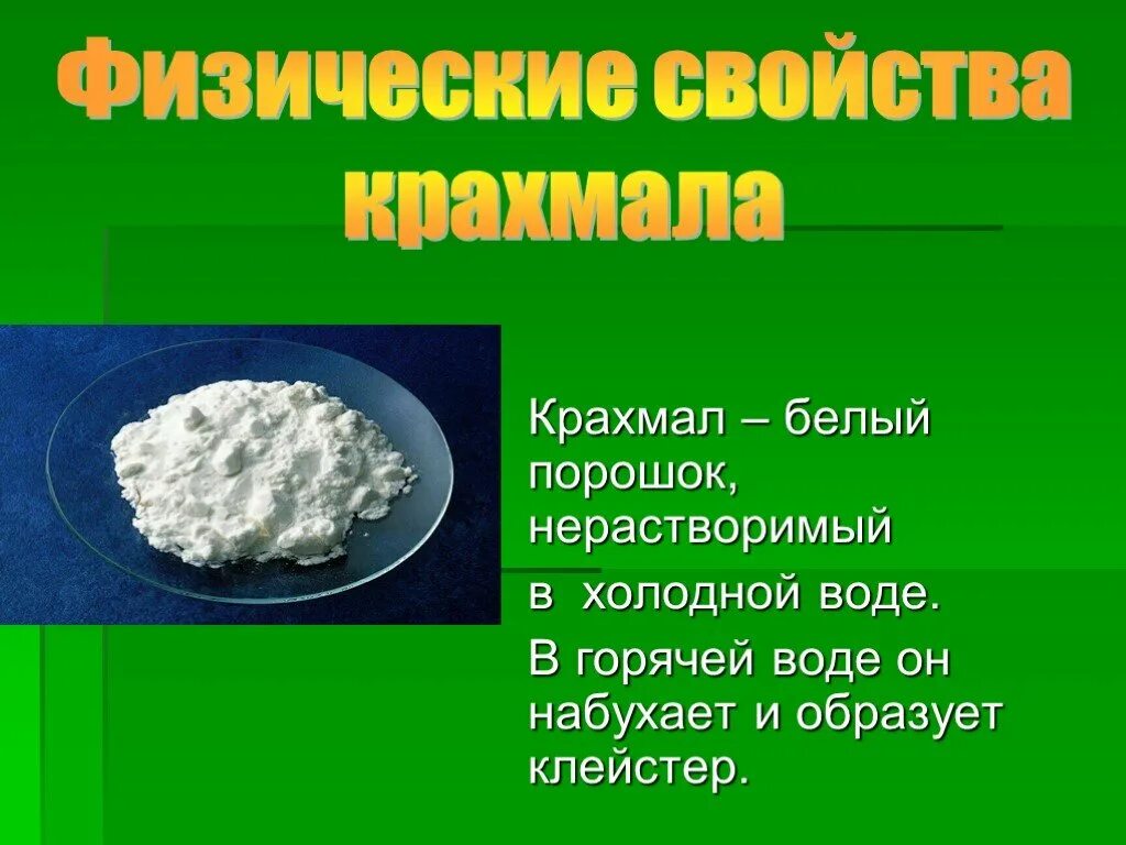 В горячей воде образует клейстер. Физ св ва крахмала. Крахмал характеристика вещества. Крахмал белый. Физические свойства крахмала.