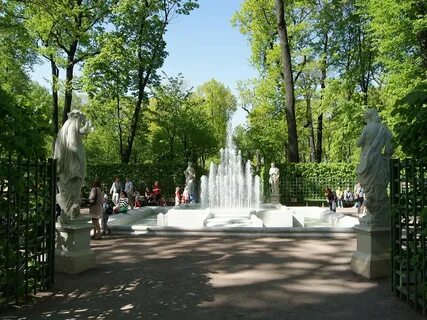 Summer garden