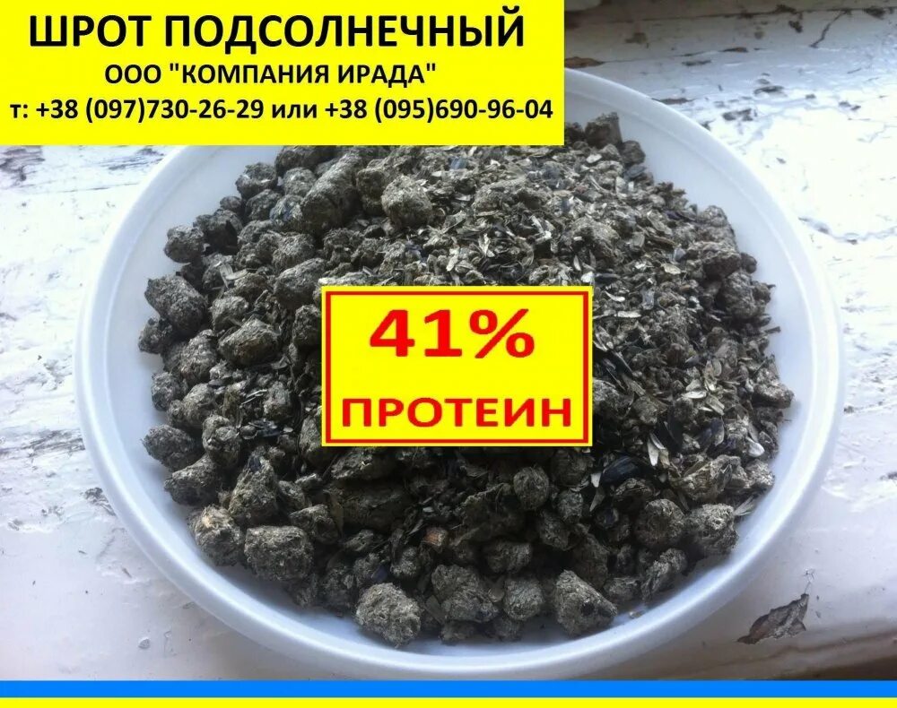 Чем отличается жмых от шрота. Шрот подсолнечника тостированный. шрот подсолнечный тостированный гранулированный. жмыхи и шроты. шрот и жмых в чем разница.