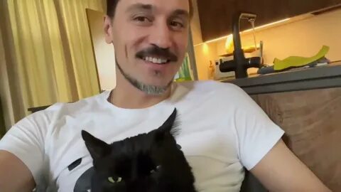 Кот димы билана