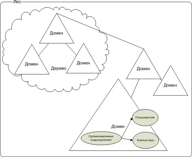 Active directory лес домен. Лес доменов active directory. структура домена active directory лес.