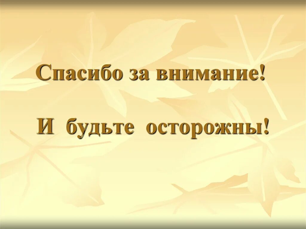 Будьте осторожны перевод. Будь осторожно на дороге. Проявите бдительность. Будьте осторожны. Спасибо за внимание обж.