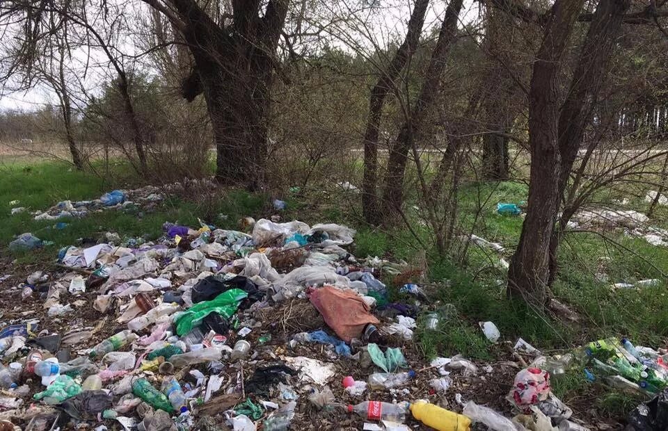 Экологические приступлени. Экологические преступления. Проблема экологических преступлений. Нарушение природоохранного законодательства. Нарушение экологии.