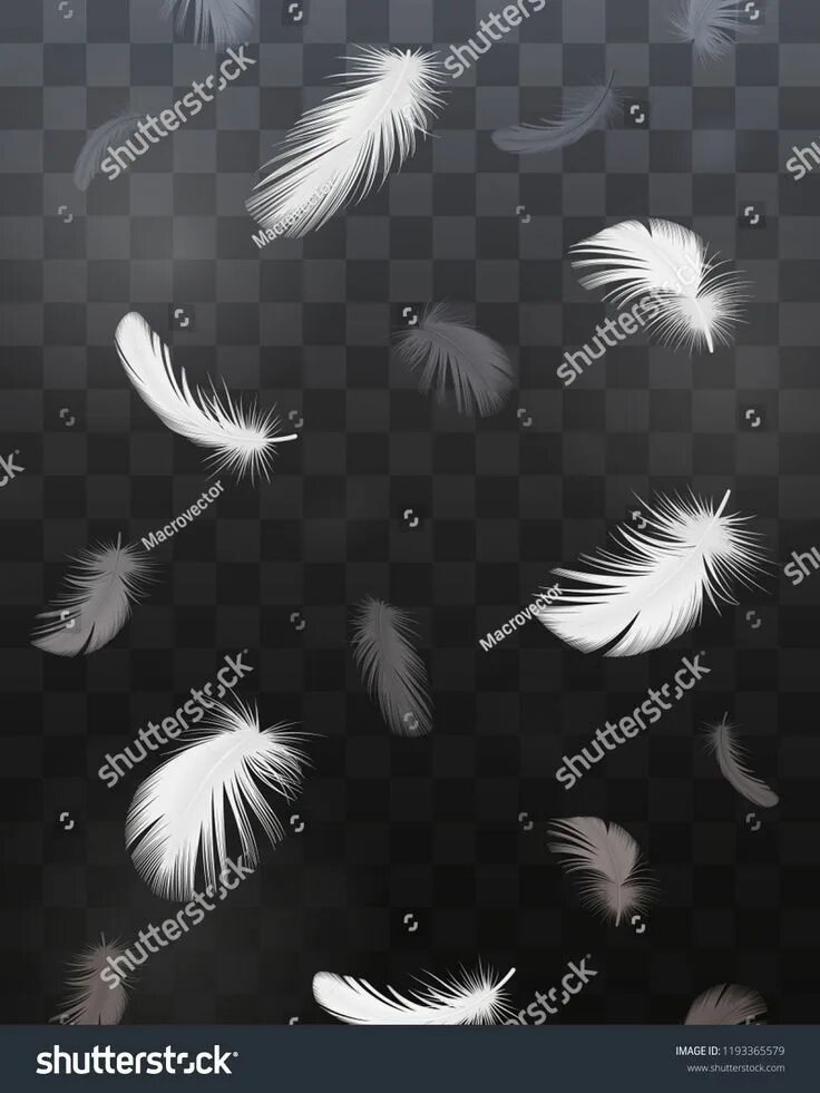 Flying feather. Летящие перья для фотошопа. перо на белом фоне. flying feathers futag. feathers flying png.