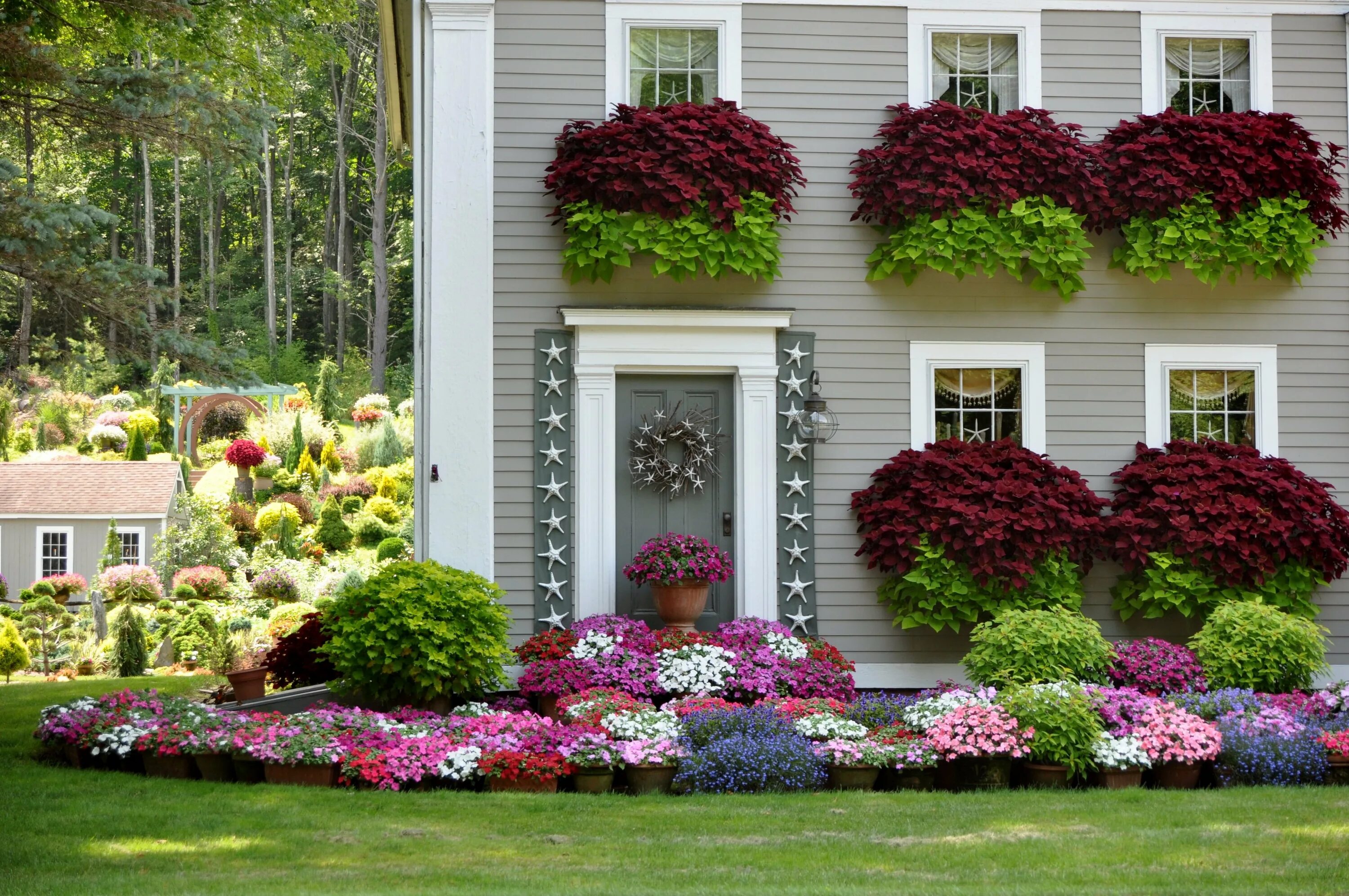 Как оформить дом цветами