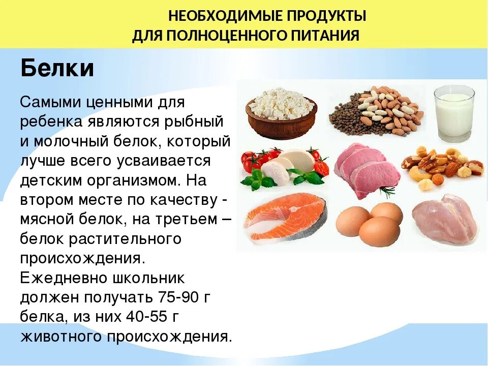 Нужен белок что съесть. Белковые продукты питания. Белок в продуктах. Белки продукты. Белки в каких продуктах.