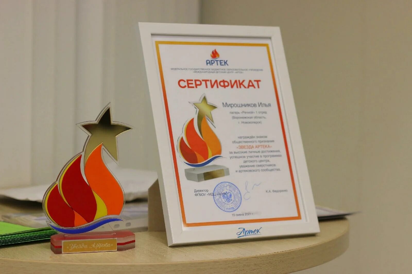 Звезда артека. Артек награды. Артек награды. Артек награды. Тематические партнеры артека.