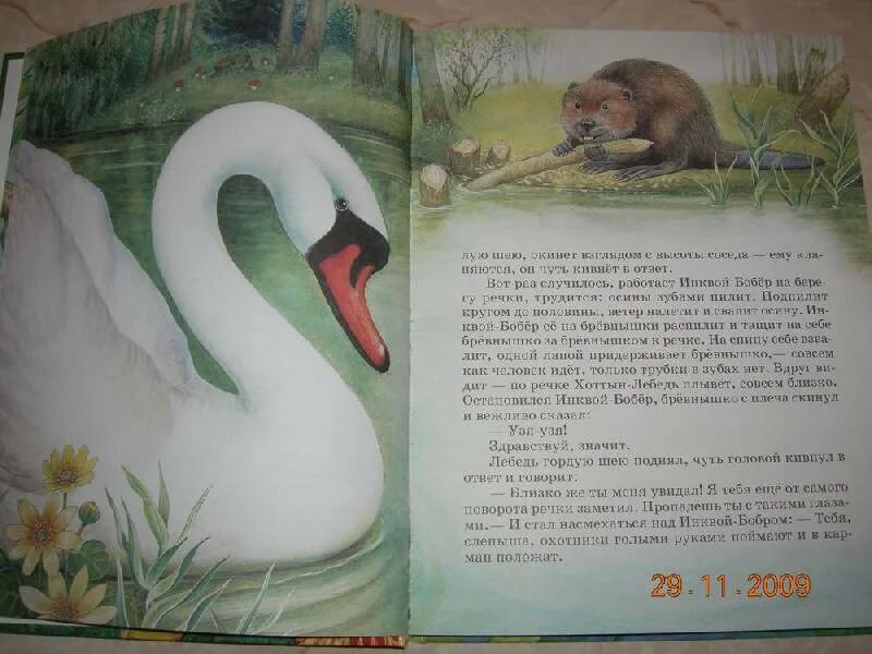 Э шим соловей и вороненок текст сказки. Соловей и вороненок шим сказка. соловей и вороненок шим картинки. пересказ сказки э шима соловей и воронёнок в старшей группе. сказка э шима соловей и вороненок старшая группа.