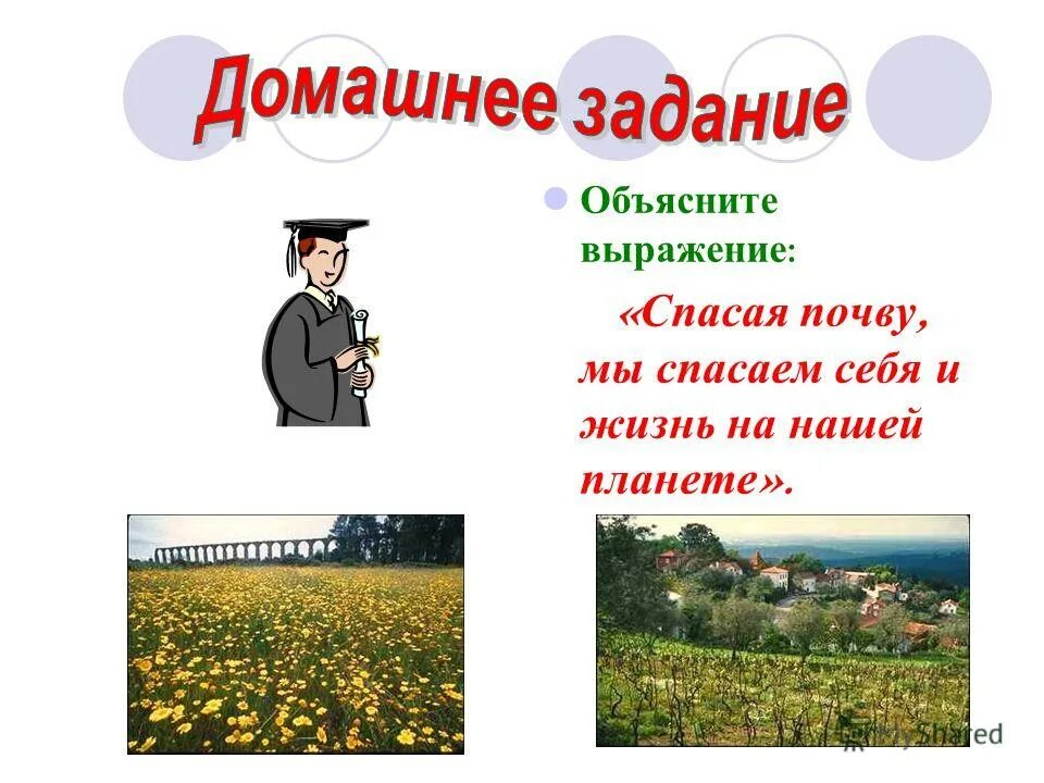 Стал мир невыносим с тех пор как лесть учтивостью назвали иллюстрации. Лучшие стены наши граждане объясните выражение. Лучшие стены наши граждане объясните выражение. Злачное место. Справ.