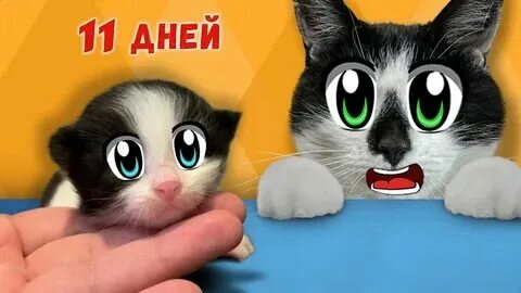 Давай ка 20