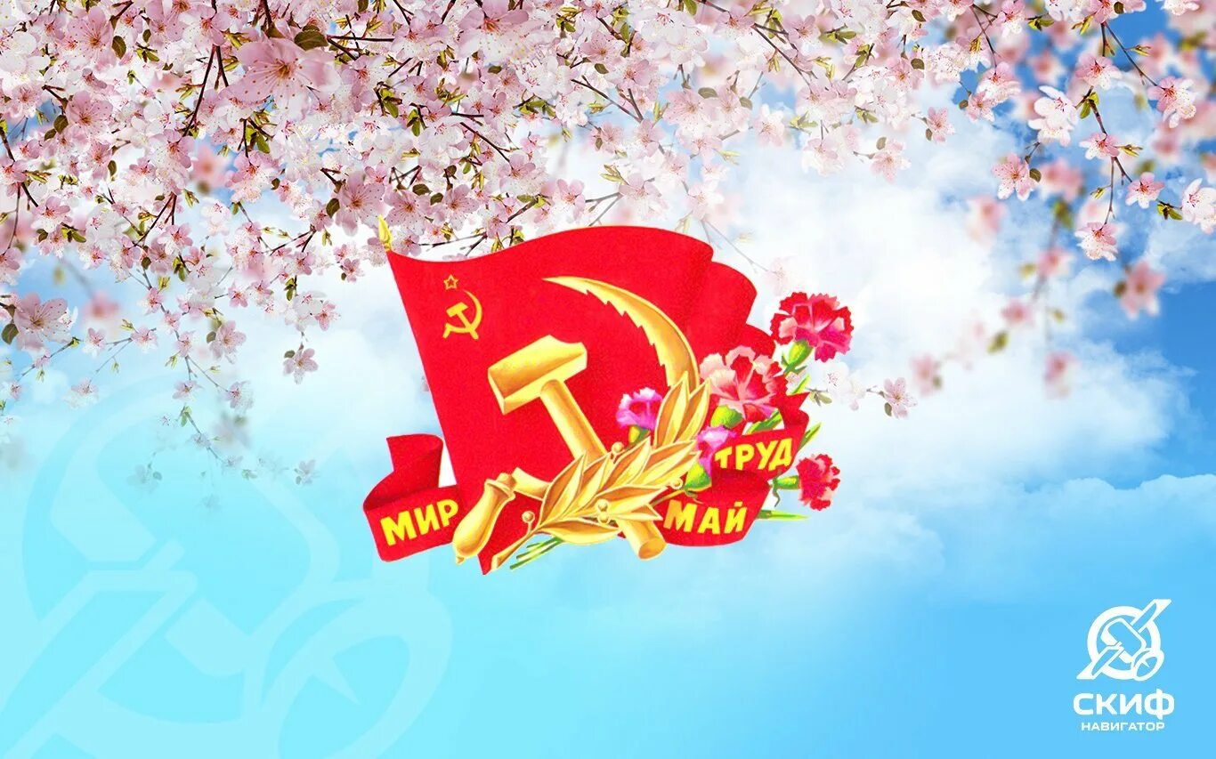 Новшества с 1 мая 2024. Поздравление с 1 мая. 1 мая праздник. с праздником первомая. открытки с 1 мая.