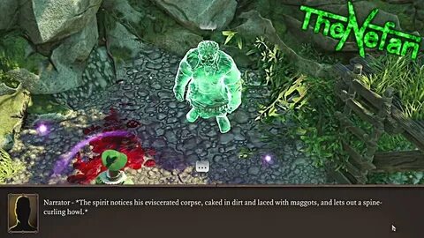Divinity original sin 2 гарван
