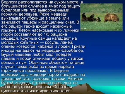 Задание бурого медведя