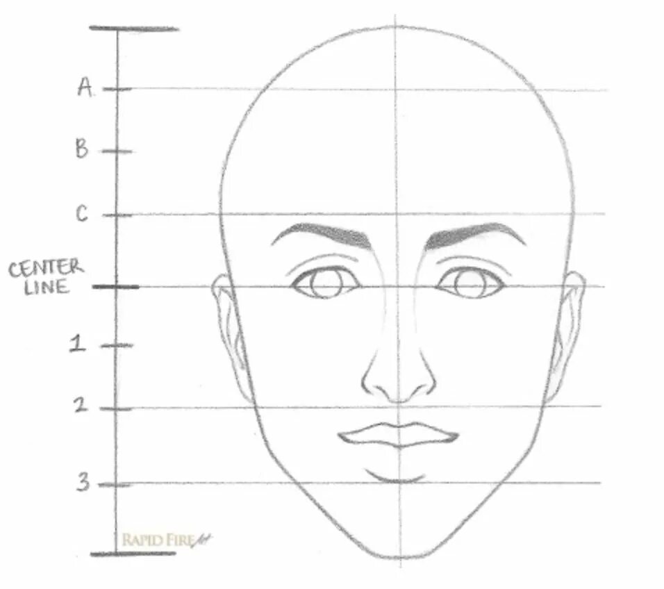 Лицо рисунок схема. Пропорции лица человека для рисования. Лицо для рисования. Пропорции лица схема. Схематический портрет лица.