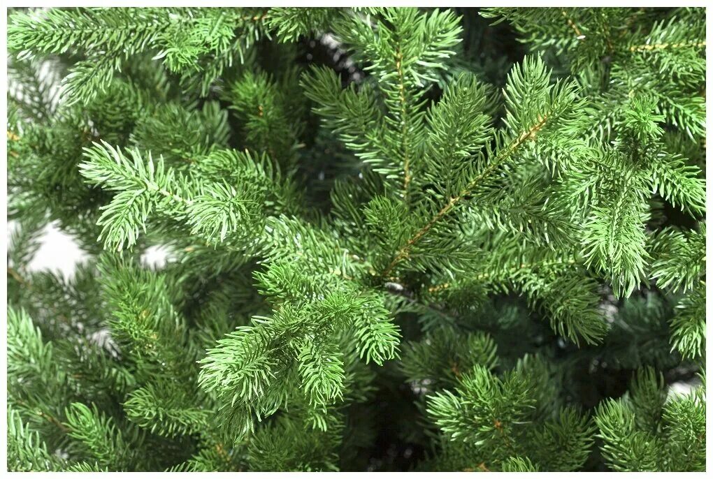 царь елка ель норд 1. искусственная елка царь елка алиса 220 см. 3 м 1016508. ель фаворит царь елка 220. ель искусственная марио 160.