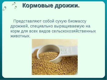 Дают ли курам дрожжи