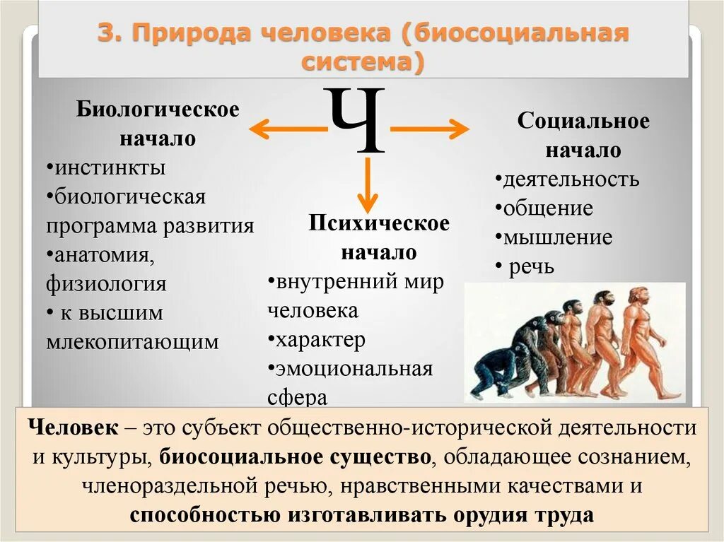 Человек его и являются. Биологическая природа человека. Социальная природа человека. Биологические инстинкты. Биосоциальная природа человека.