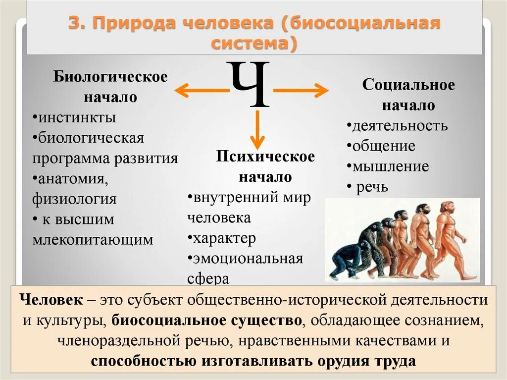 Примеры сред человека. Социальная природа человека. Биологическая природа человека. Биосоциальная природа человека. Небиологическая природа человека.