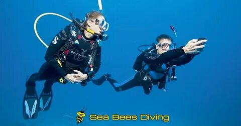 Включи dive in