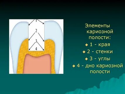 Полость число