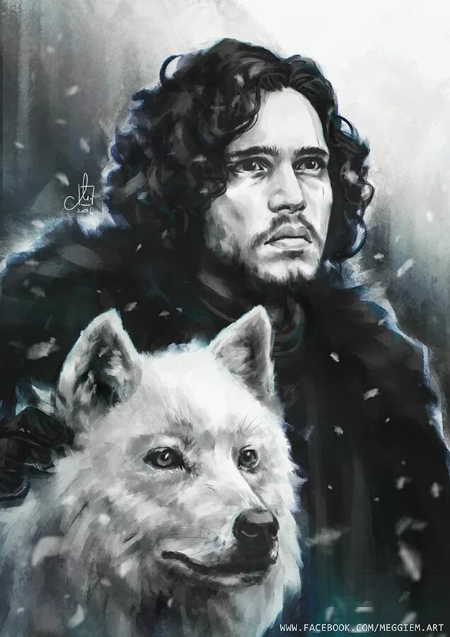 Собака на заборе. Джон сноу беловолосый. Dog running snow. Пес сноу. Белый терьер вест хайленд зима.