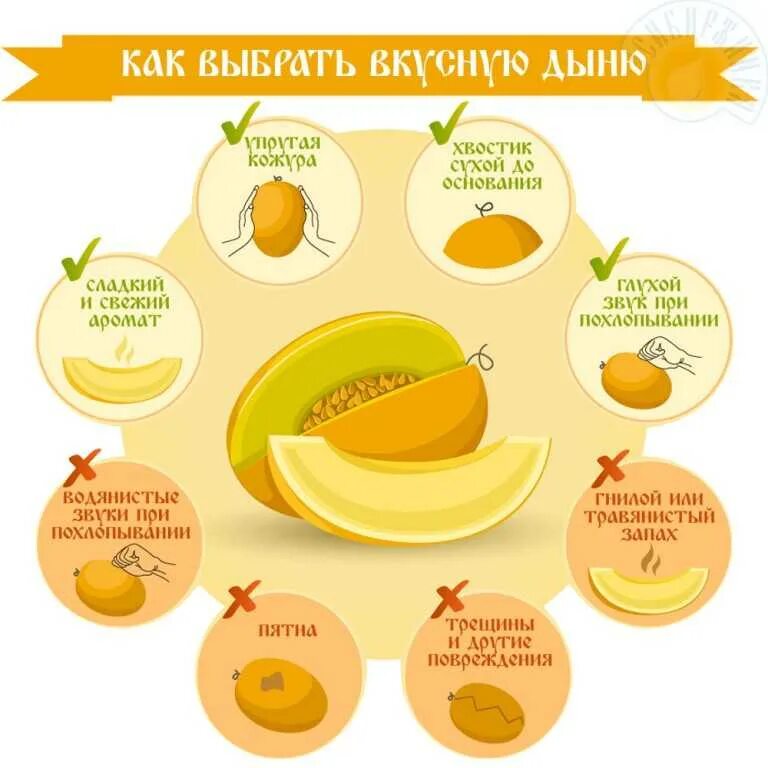Можно кушать дыню. Как выбрать вкусную дыню. дыня польза. дыня полезная для организма. как выбрать дыню спелую и сладкую.