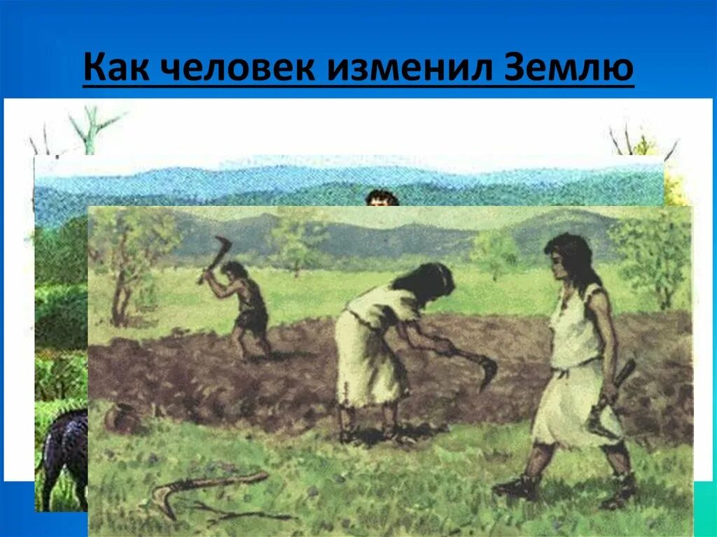 5 человек изменяет природу. Как человек изменил землю. Как человек изменяет землю. Человек изменяет природу. Как человек изменял природу.