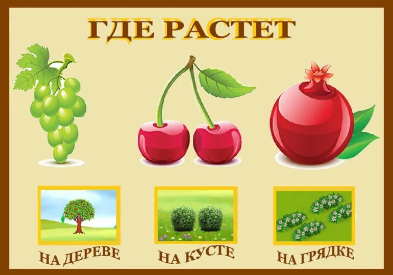 Нарисуем огород там растет два куста ягоды