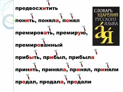 Приняла или принела. Приняла или принела. Приняла или принела. Приняла или принела. Приняла или принела.