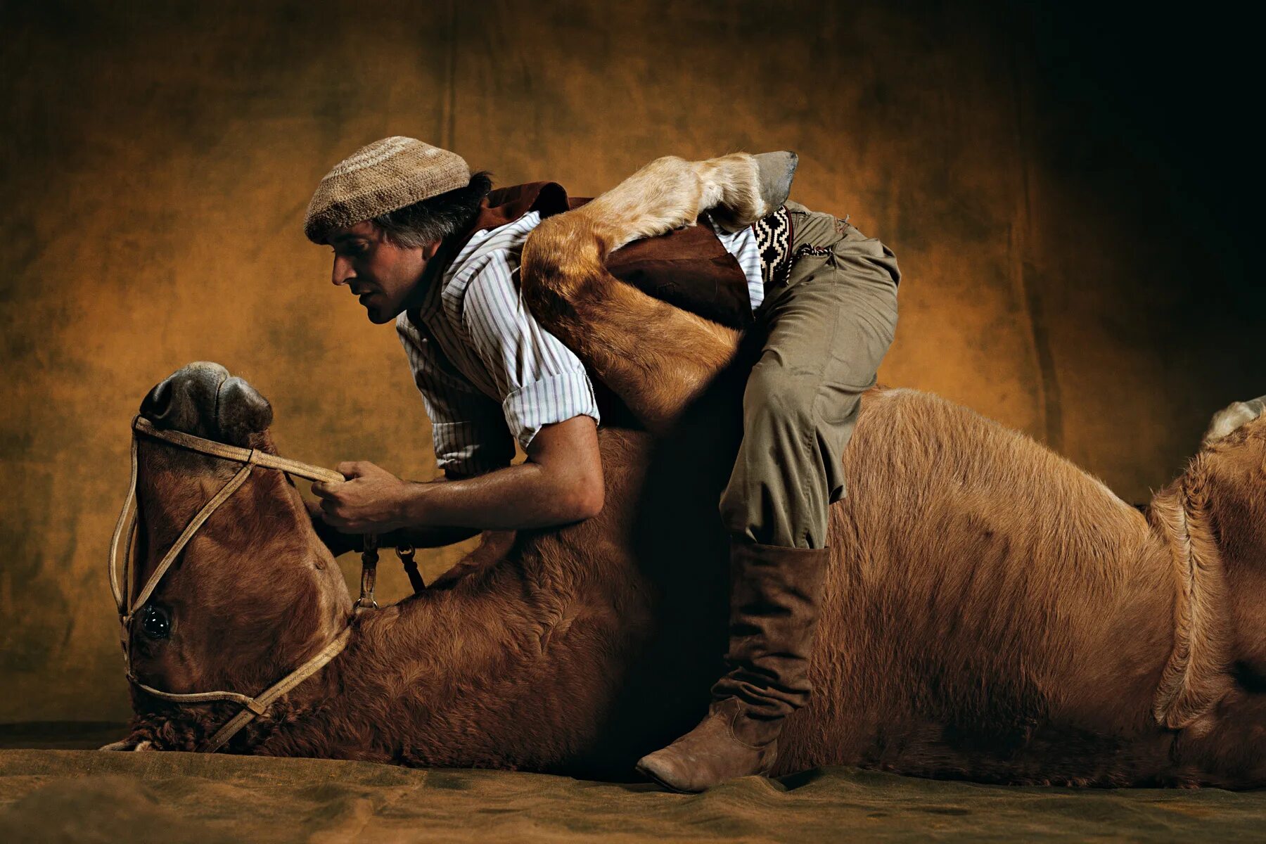 смешная лошадь рисунок. персонаж песни норовящий загнать лошадей. конь мульт. персонаж песни норовящий загнать лошадей. панов тайный город моряна.