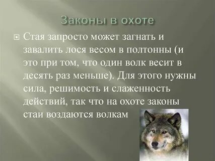 Роль волка