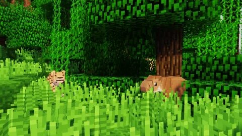 Animals 1.20 1