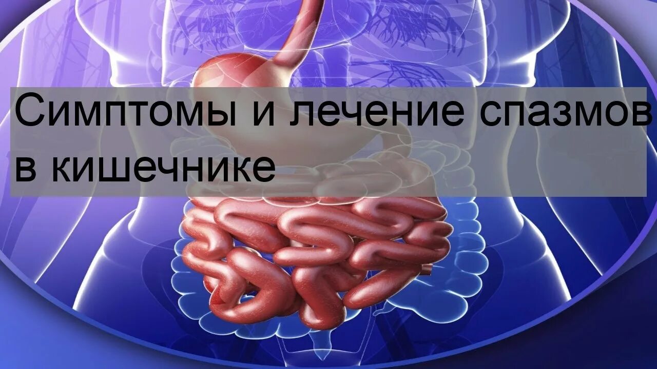 Спазм кишечника симптомы. Спазмирование кишечника симптомы.