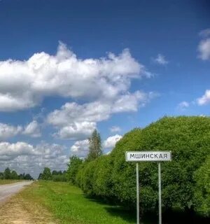Мшинская спб