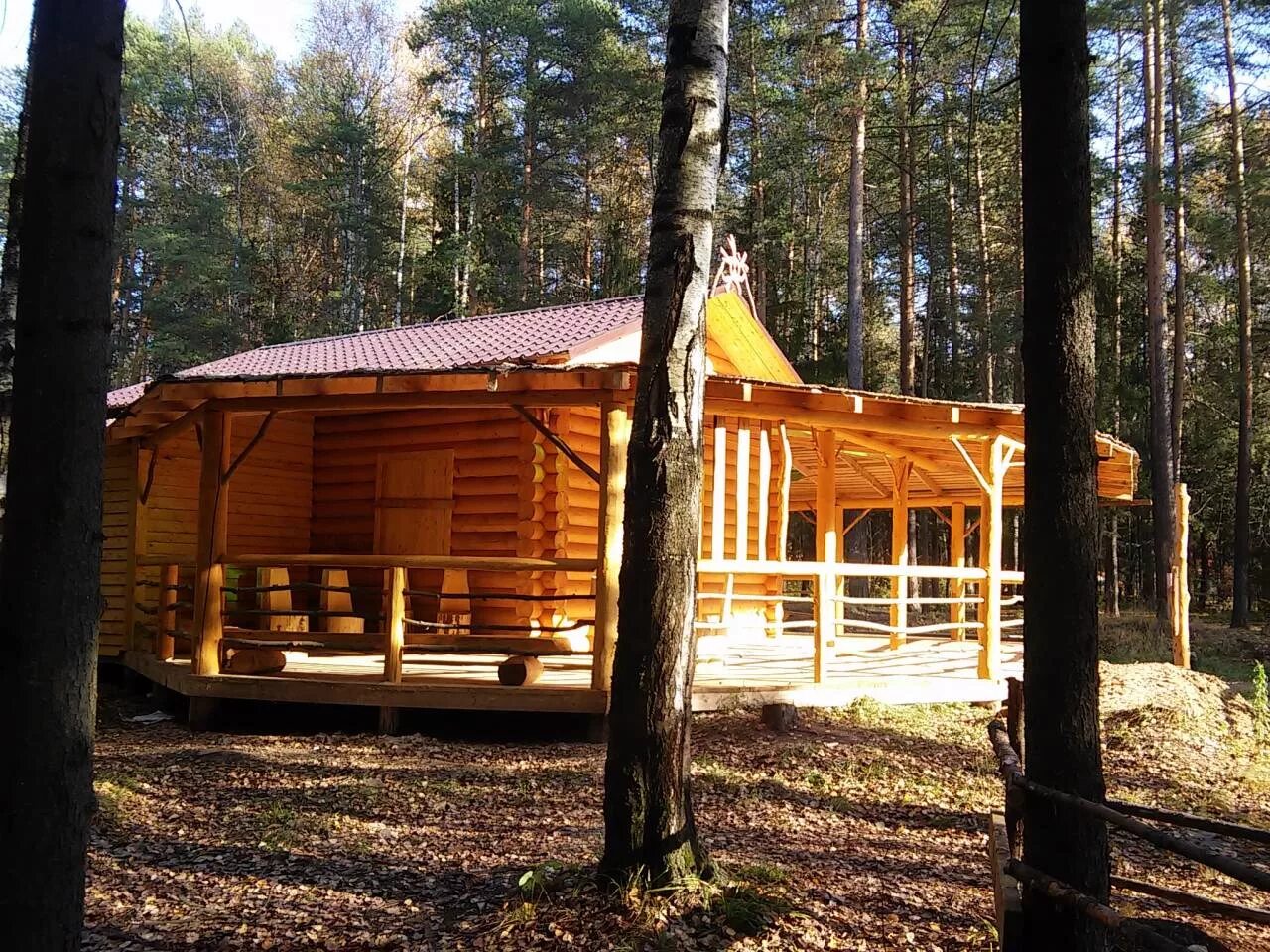 аренда лесов пермь. ельники пермь. лесной участок. черняевский парк пермь. деловой лес.