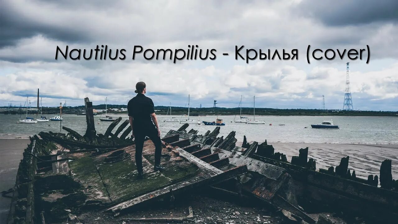 Дайте мне крылья кавер. Крылья nautilus pompilius. наутилус помпилиус крылья обложка. наутилус помпилиус переезд обложка. наутилус помпилиус крылья брат.
