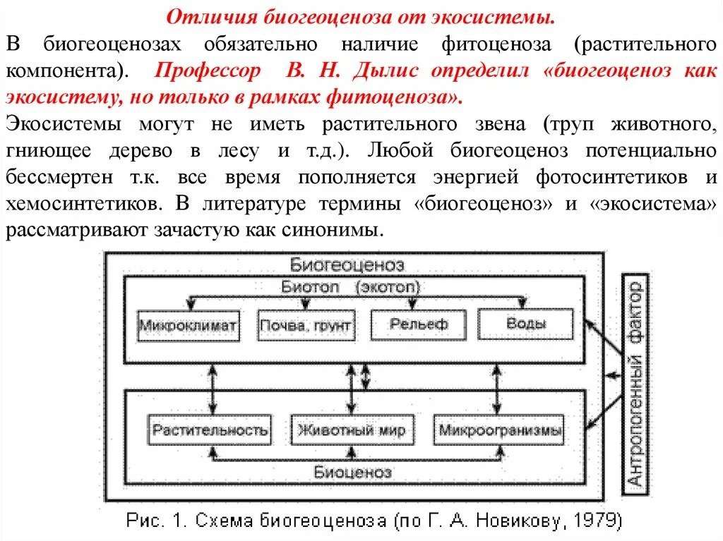 Структура биогеоценоза схема. Компоненты биогеоценоза таблица. Биогеоценоз таблица. Биогеоценоз и его компоненты. Биогеоценоз основа