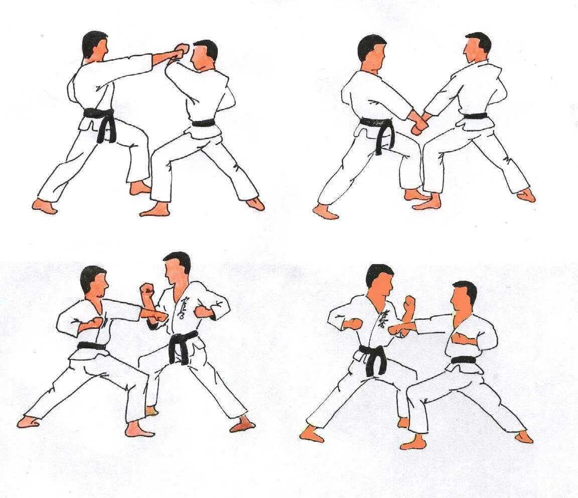 Движения каратэ. Каратэ шотокан тренировки. Удары в каратэ кумитэ. Движения каратэ. Занятия по карате.